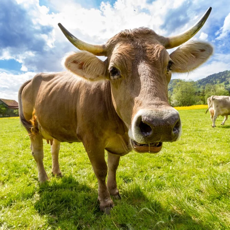 There are many variations of passages of Lorem Ipsum available, but majority have suffered teration in some form, by injected humour, or randomised words which don't look even slight believable. If you are going to use a passage of Lorem Ipsum.